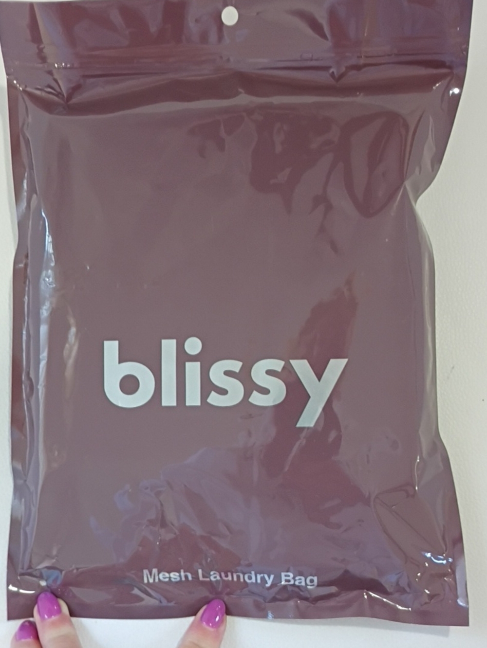 Blissy Mesh Laundry Bag in Mauve